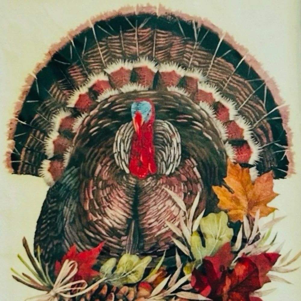 🦃 Plump Turkey Artisan Flour Sack Towel 100% Egyptian Cotton Vintage NWT